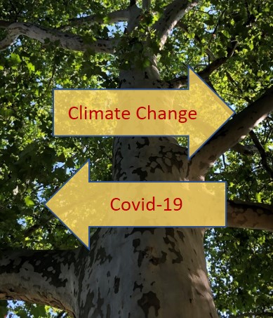 climate change covis19